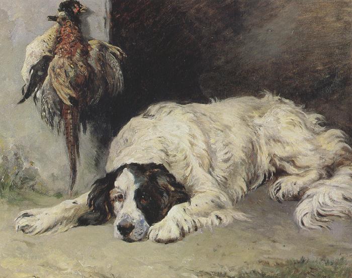  An English Setter at the end of the Day (mk37)